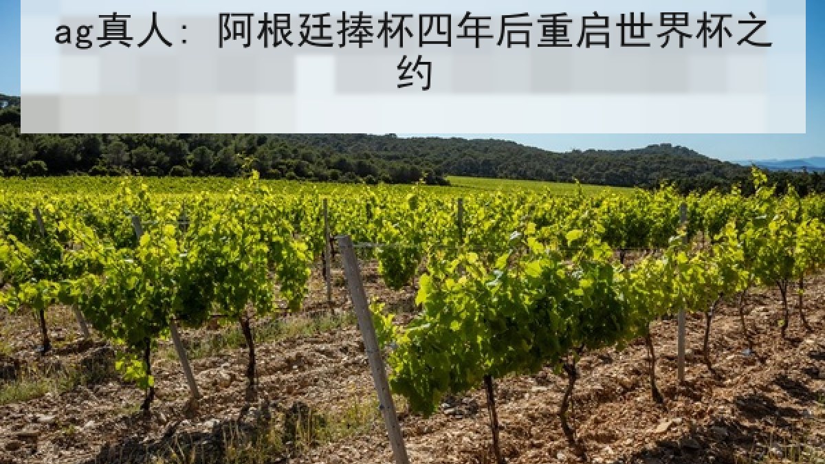 ag真人: 阿根廷捧杯四年后重启世界杯之约