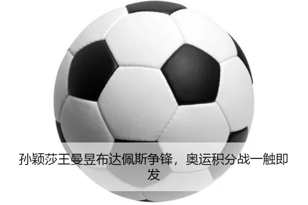 sun-ying-sha-wang-man-yu-bu-da-pei-si-zheng-feng-ao-yun-ji-fen-zhan-yi-chu-ji-fa-2-491.jpg